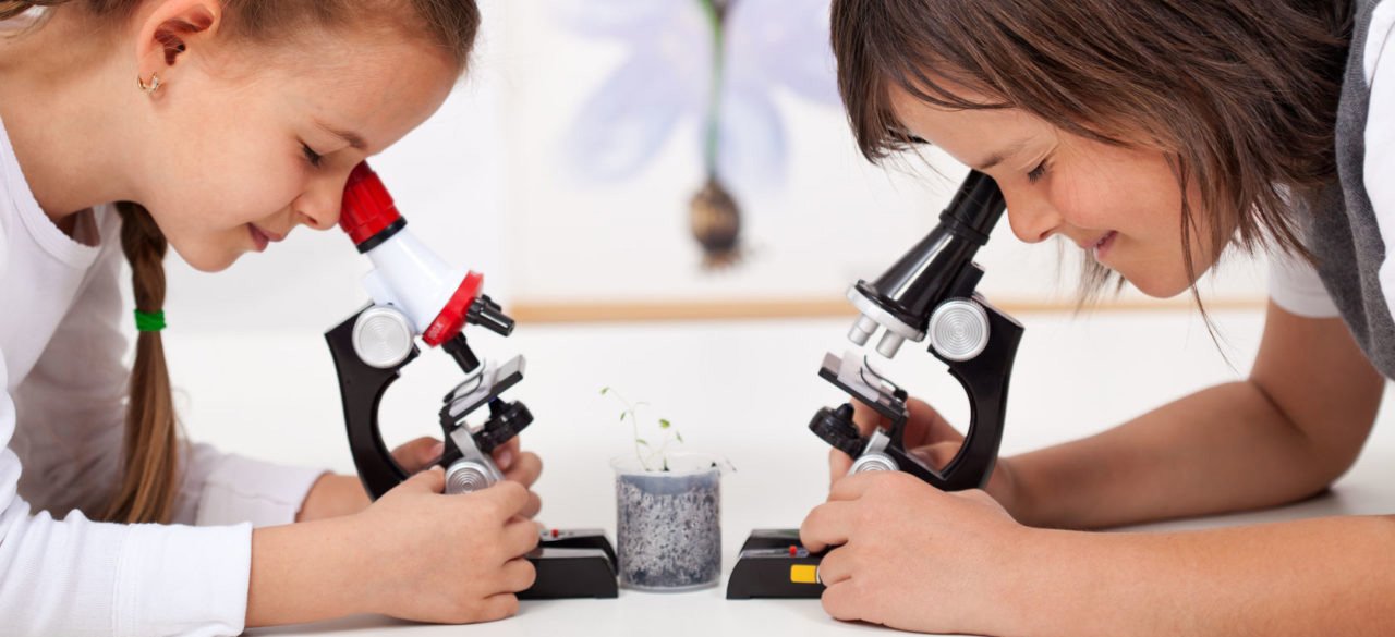 микроскопы детские в Ангарске